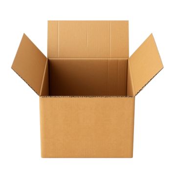 کارتن دایکاتی بدون چاپ